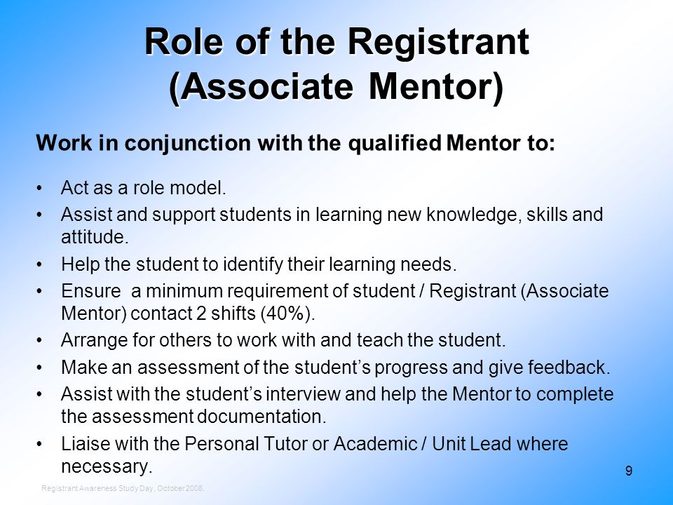 Role of the learning mentor